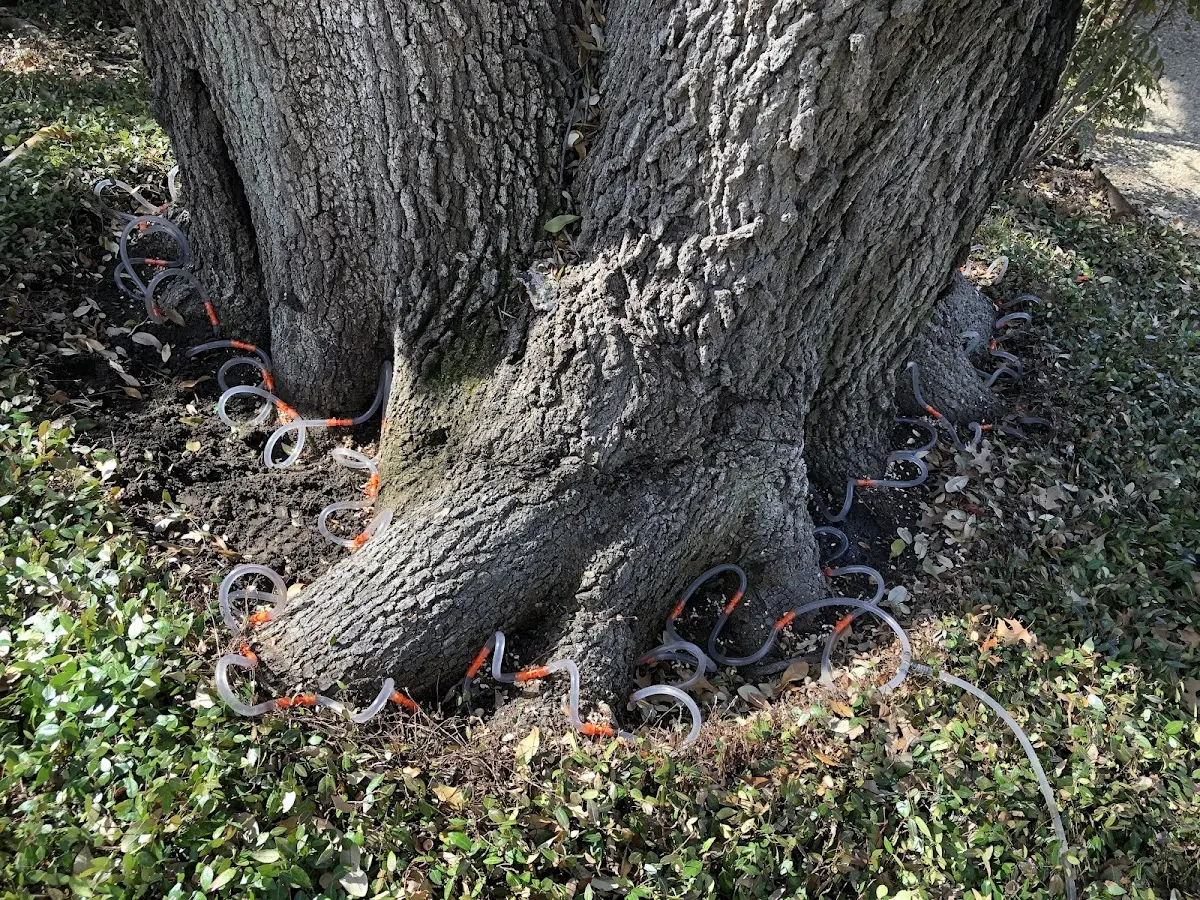 Detailed Shrub and Hedge Trimming job site in Arp