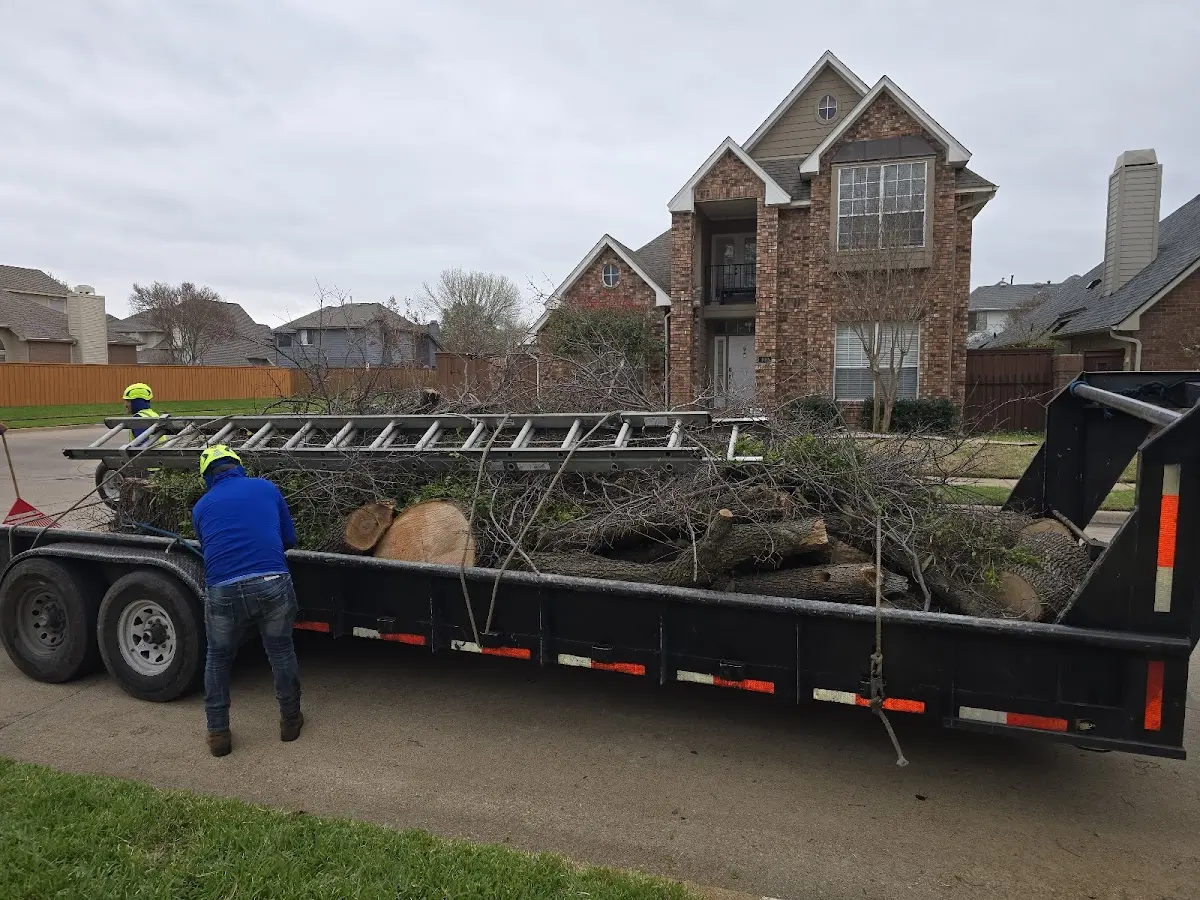 Expert Lot Clearing with proper safety equipment in Arp